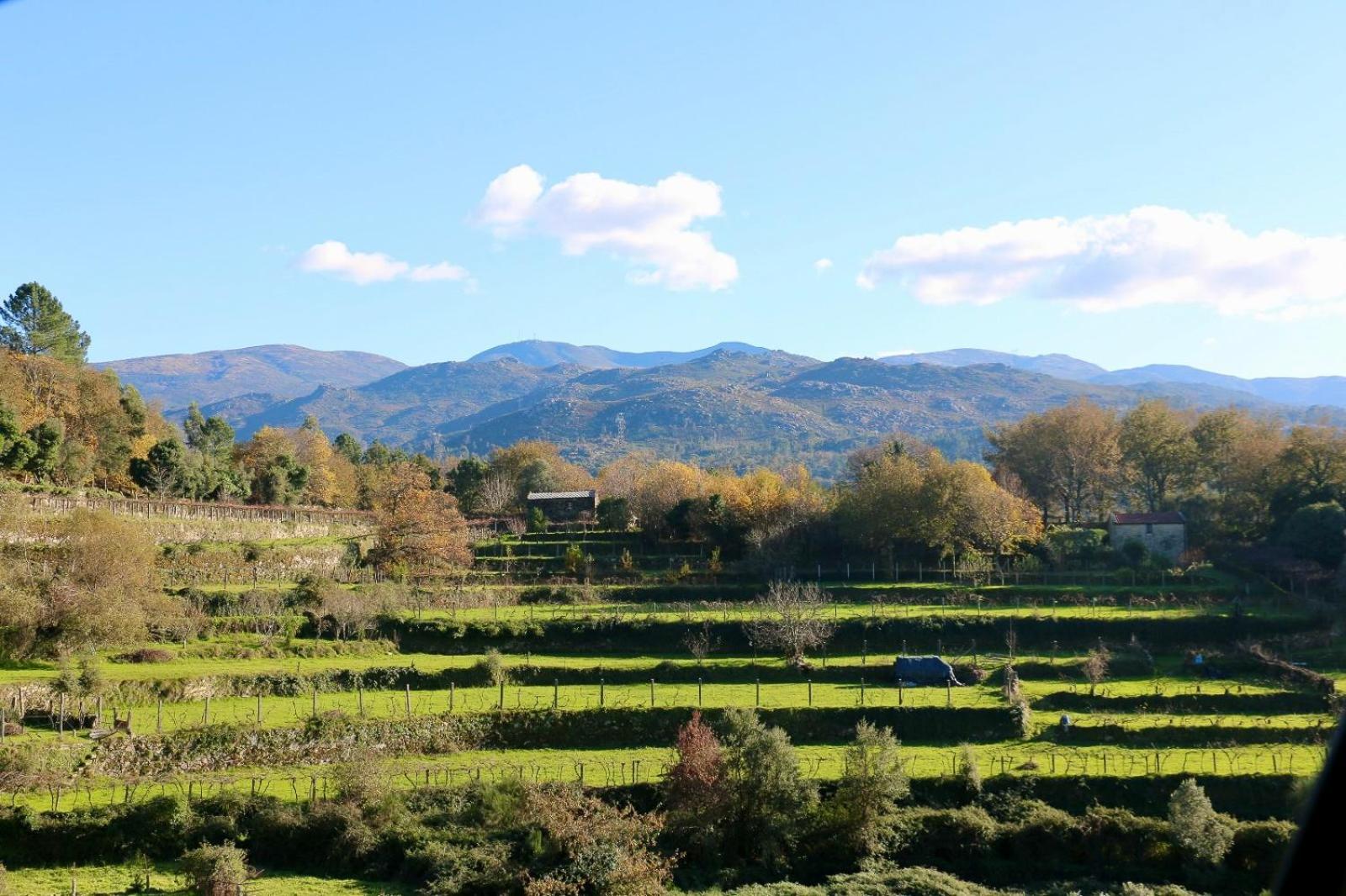 Casa Serra De Soajo Dış mekan fotoğraf